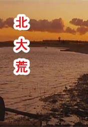 国产午夜av