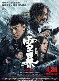 1995版h版泰山伦理hd