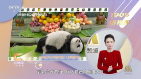 色呦呦免费观看